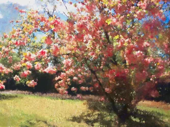 Kirschblüte, 2018